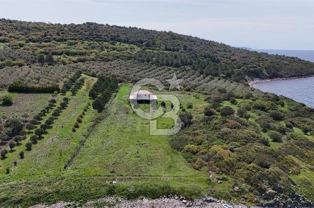 Aliağa Çaltılıdere Pınarcık'ta Denize Sıfır Müstakil 4.286 m2 Tarla 