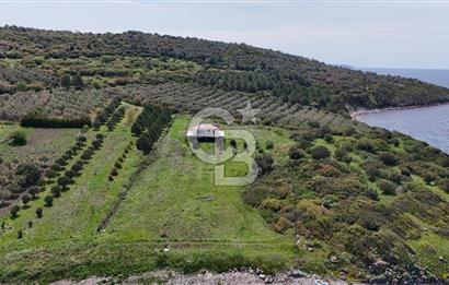 Aliağa Çaltılıdere Pınarcık'ta Denize Sıfır Müstakil 4.286 m2 Tarla 