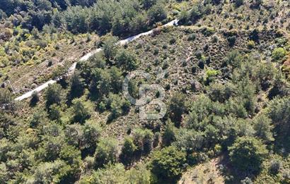 Kemalpaşa Armutlu Hürriyet Satılık Tarla