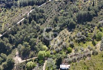 Kemalpaşa Ören Satılık Bağ - 4 - 320214