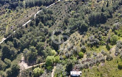 Kemalpaşa Ören Satılık Bağ