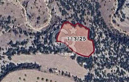 Güney Aşağıçeşme Satılık Tarla 