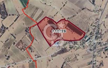 Güney Aşağıçeşme Satılık Tarla 