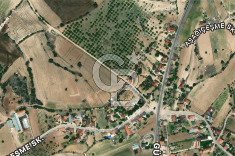 Güney Aşağıçeşme Satılık Tarla 