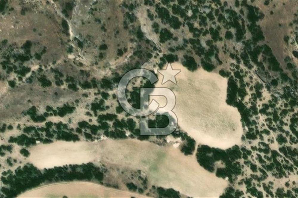 Güney Aşağıçeşme Satılık Tarla 