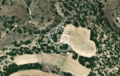 Güney Aşağıçeşme Satılık Tarla 