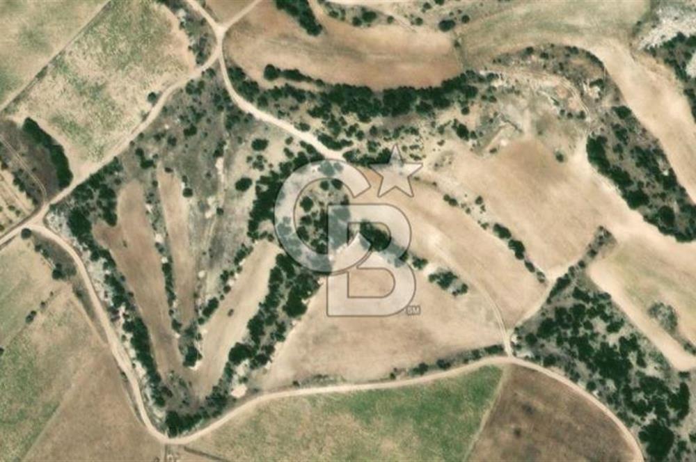 Güney Aşağıçeşme Satılık Tarla 