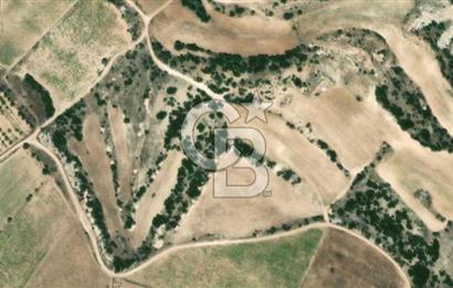 Güney Aşağıçeşme Satılık Tarla 