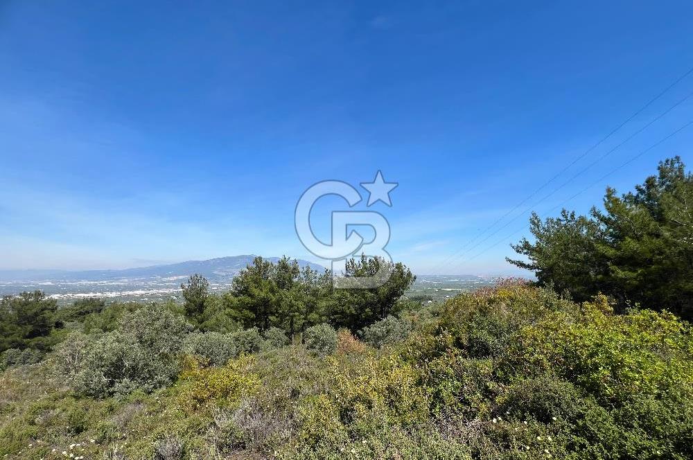 Kemalpaşa Ören Satılık Bağ