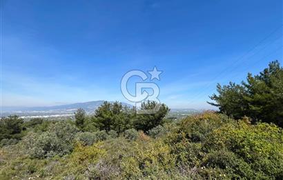 Kemalpaşa Ören Satılık Bağ