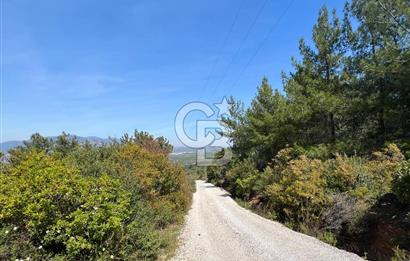 Kemalpaşa Ören Satılık Bağ