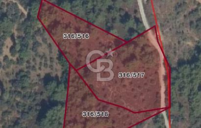 Kemalpaşa Armutlu 3.212 m2 Satılık Bağ 