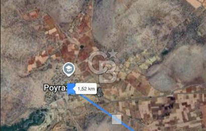 Bekilli Poyrazlı'da Satılık Tarla