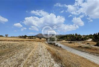 Bozkurt Tutluca'da Köy Yakını Satılık Tarla - 3 - 320185