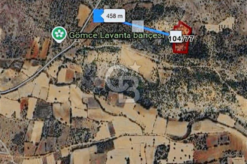 Bekilli Gömce'de Satılık Fırsat Tarla