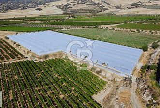 Denizli Buldan'da Satılık Sera - 1 - 320191