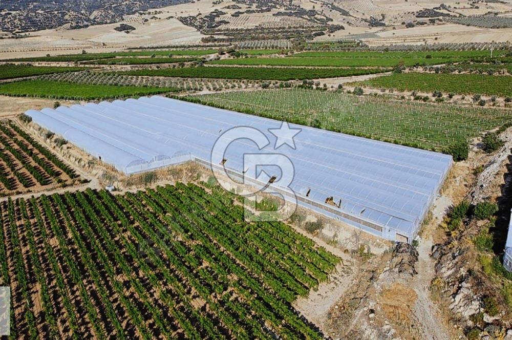 Denizli Buldan'da Satılık Sera