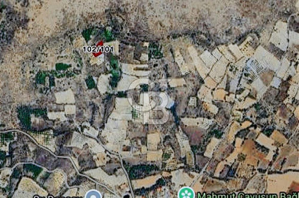 Bekilli Gömce Satılık Köy Yakını Tarla