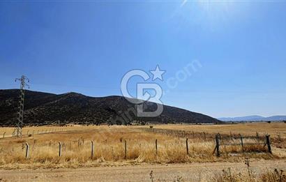 Tavas Garipköy'de Asfalt Cephe Satılık Tarla