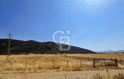 Tavas Garipköy'de Asfalt Cephe Satılık Tarla