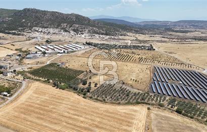 İzmir Foça Kocamehmetler Satılık Tarla