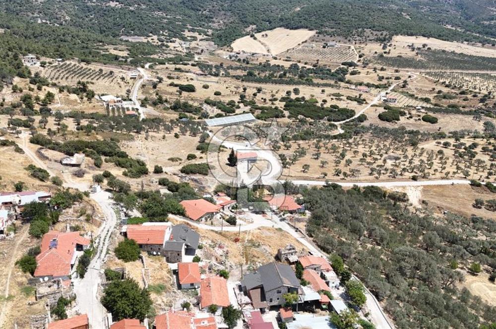 İzmir Foça Kocamehmetler Köy İçi Arsa