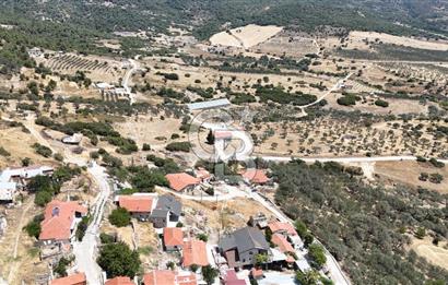 İzmir Foça Kocamehmetler Köy İçi Arsa