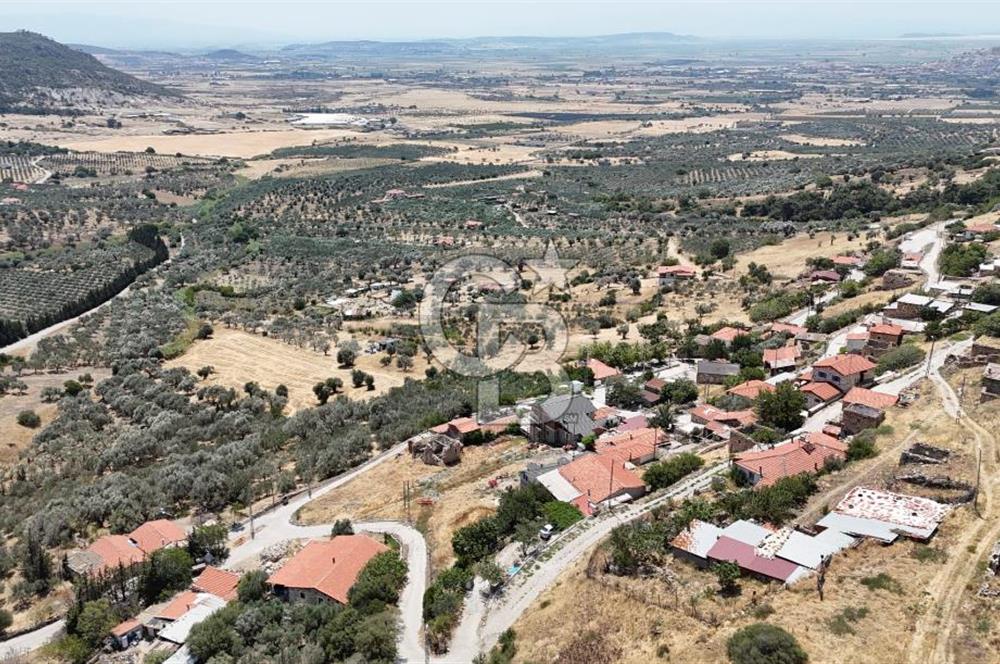İzmir Foça Kocamehmetler Köy İçi Arsa