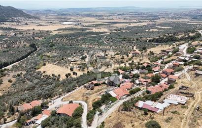 İzmir Foça Kocamehmetler Köy İçi Arsa
