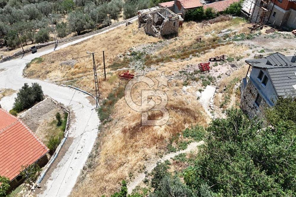 İzmir Foça Kocamehmetler Köy İçi Arsa