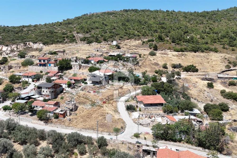 İzmir Foça Kocamehmetler Köy İçi Arsa