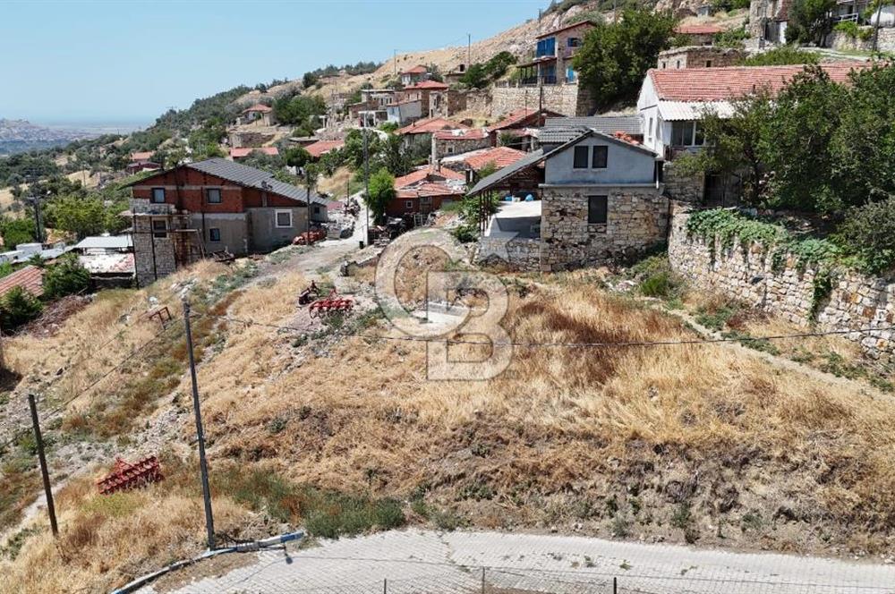 İzmir Foça Kocamehmetler Köy İçi Arsa