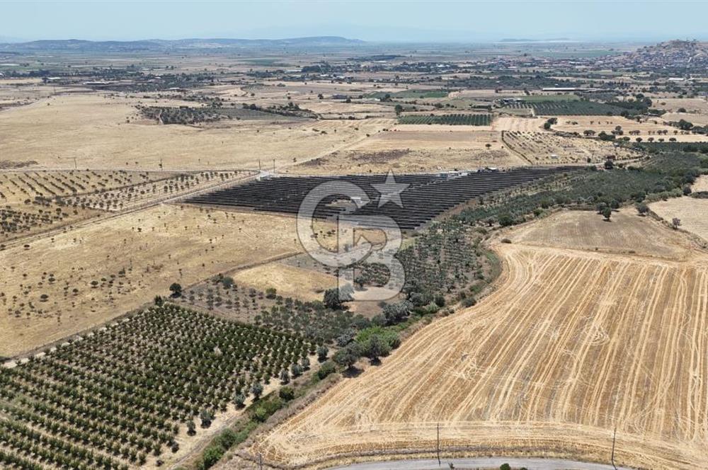 İzmir Foça Kocamehmetler Satılık Tarla