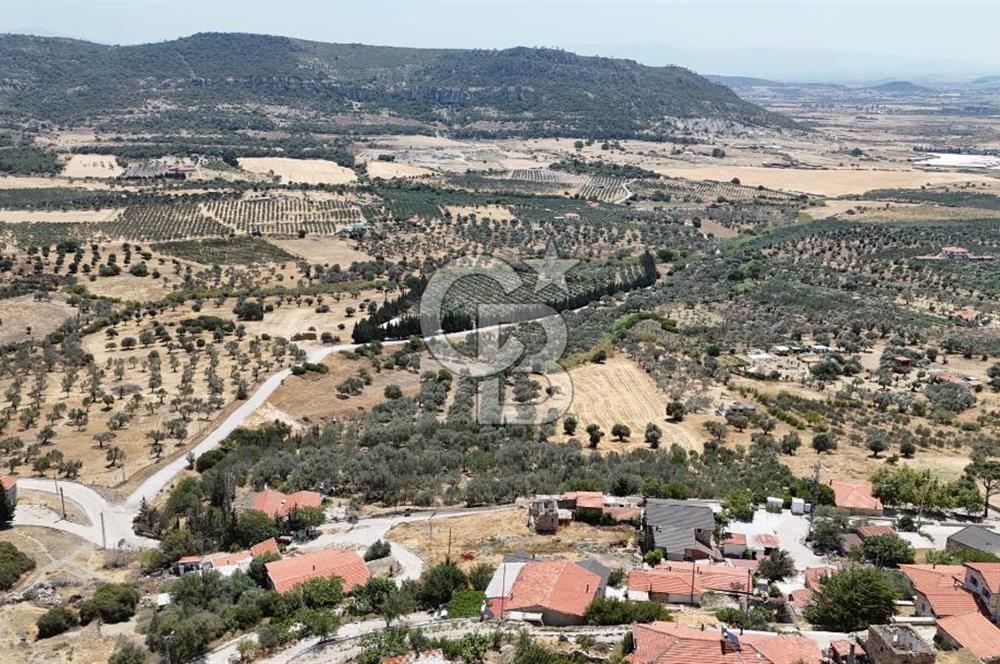 İzmir Foça Kocamehmetler Köy İçi Arsa