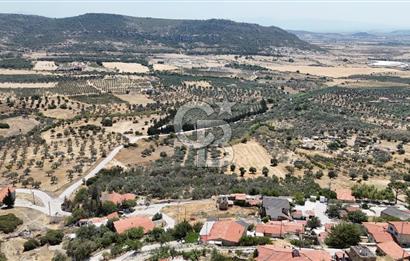 İzmir Foça Kocamehmetler Köy İçi Arsa