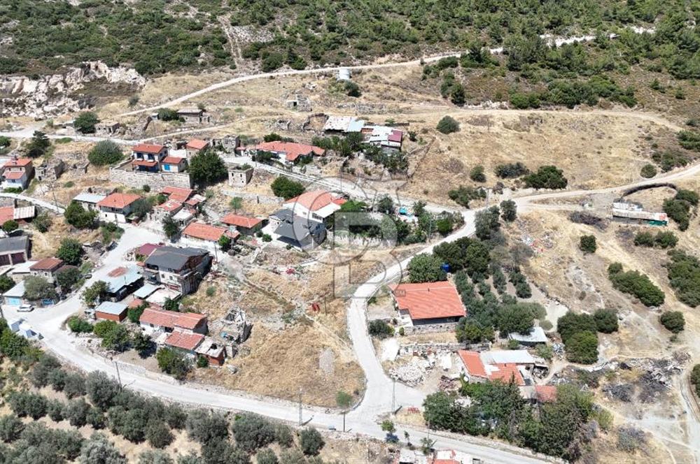 İzmir Foça Kocamehmetler Köy İçi Arsa
