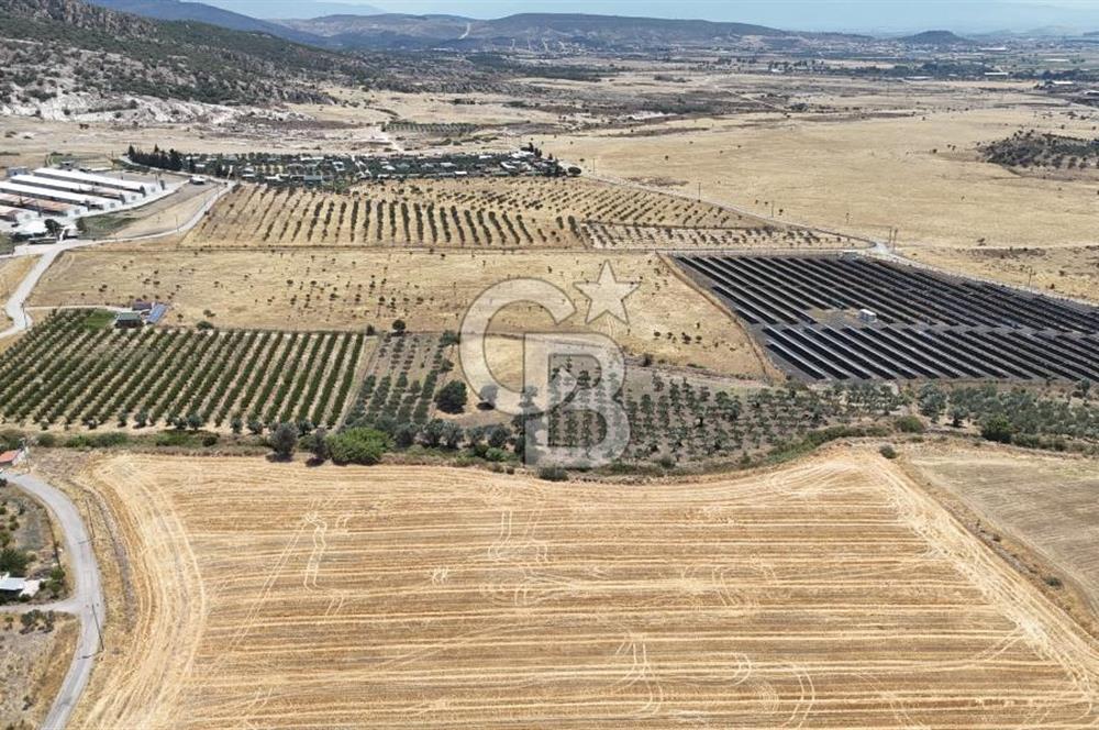 İzmir Foça Kocamehmetler Satılık Tarla
