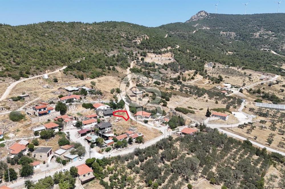 İzmir Foça Kocamehmetler Köy İçi Arsa