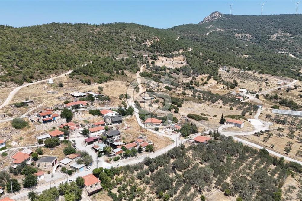 İzmir Foça Kocamehmetler Köy İçi Arsa