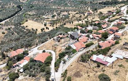 İzmir Foça Kocamehmetler Köy İçi Arsa