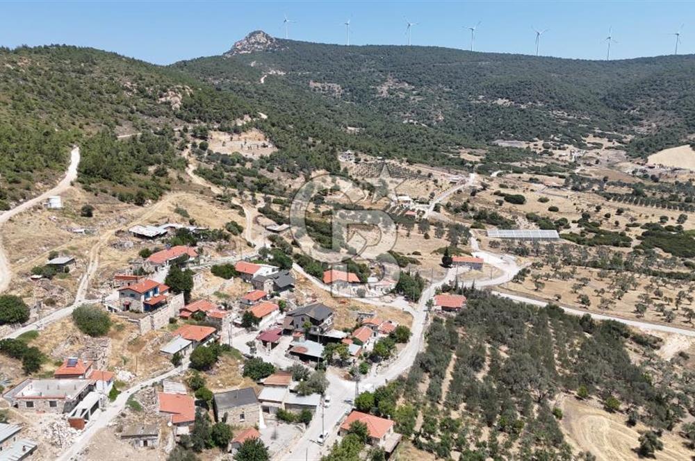 İzmir Foça Kocamehmetler Köy İçi Arsa