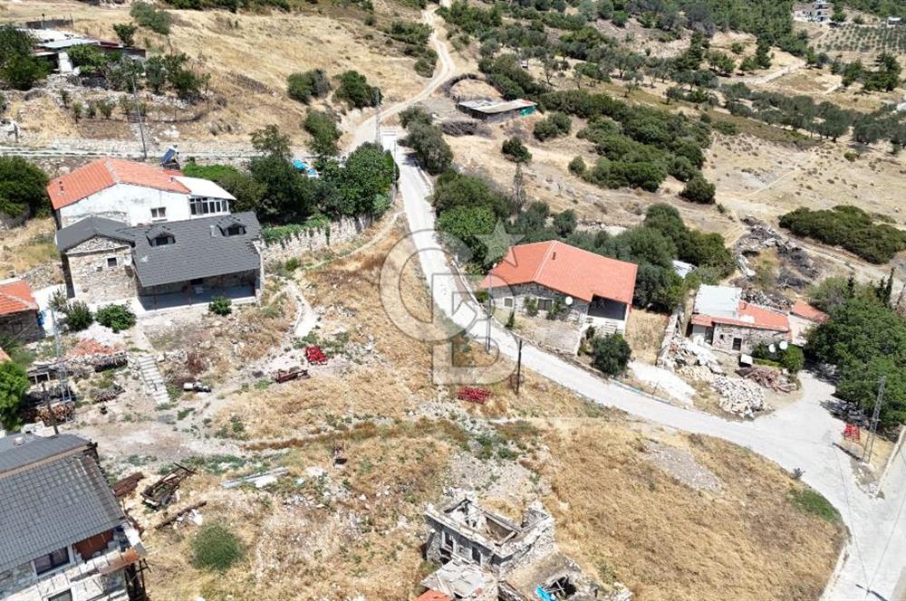 İzmir Foça Kocamehmetler Köy İçi Arsa