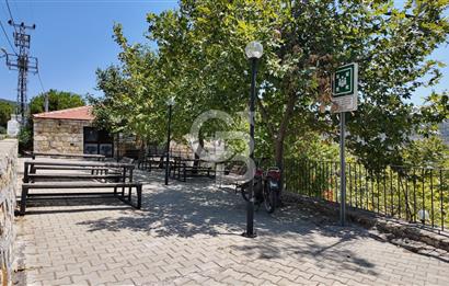 İzmir Foça Kocamehmetler Köy İçi Arsa