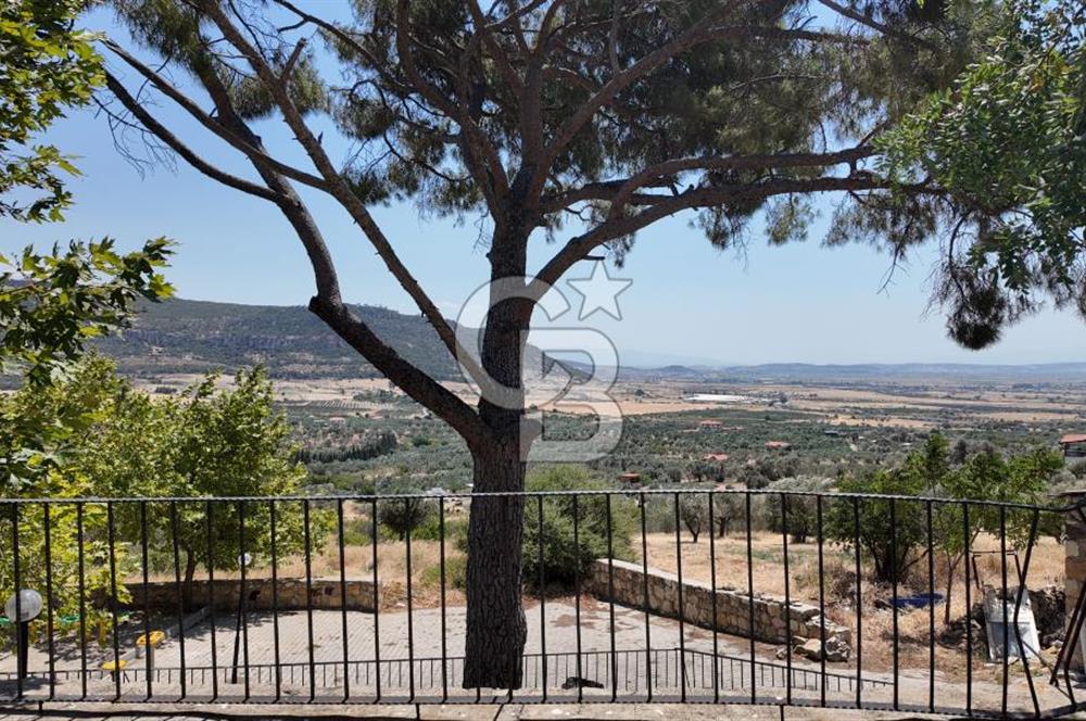 İzmir Foça Kocamehmetler Köy İçi Arsa