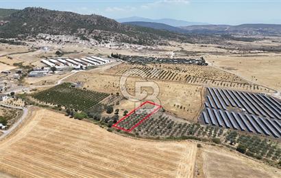 İzmir Foça Kocamehmetler Satılık Tarla