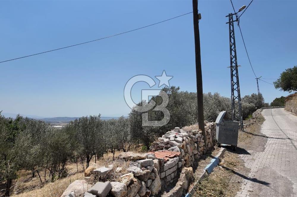 İzmir Foça Kocamehmetler Köy İçi Arsa