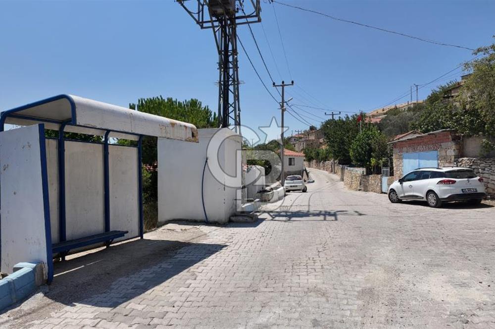 İzmir Foça Kocamehmetler Köy İçi Arsa