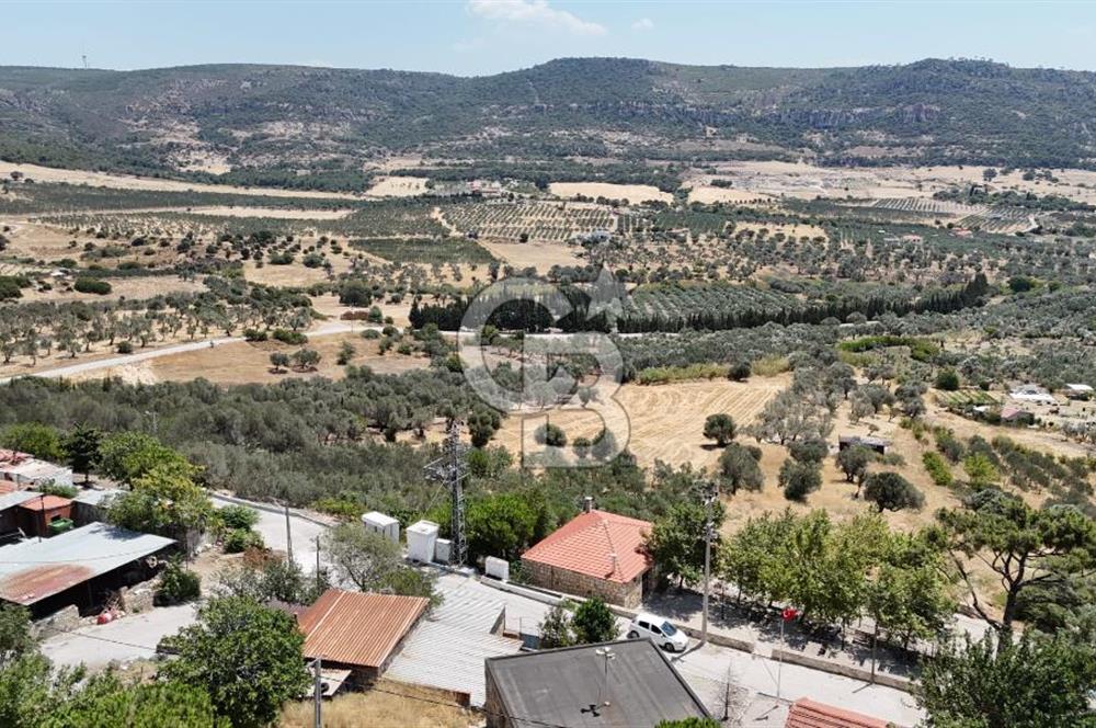 İzmir Foça Kocamehmetler Satılık Tarla