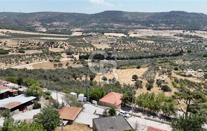 İzmir Foça Kocamehmetler Satılık Tarla