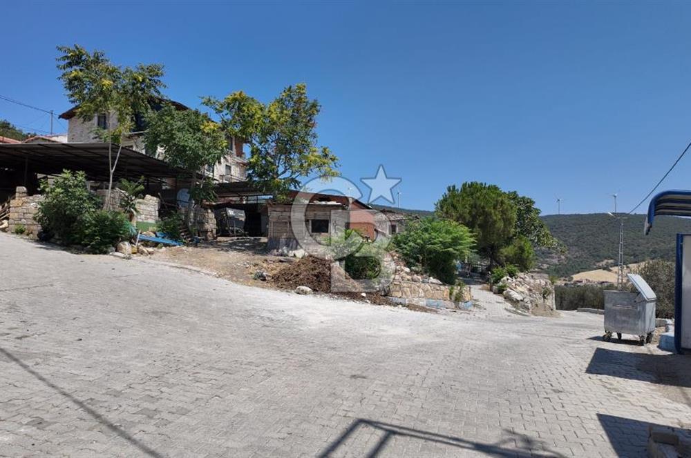 İzmir Foça Kocamehmetler Köy İçi Arsa